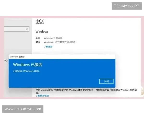 博鱼真人平台会员登录不上如何快速恢复账号访问权限的实用技巧